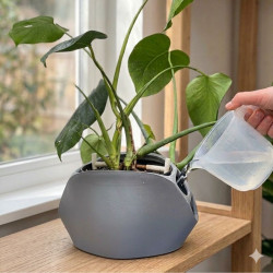VENUS | Coprivaso sub-irrigazione per piante sane e idroponica